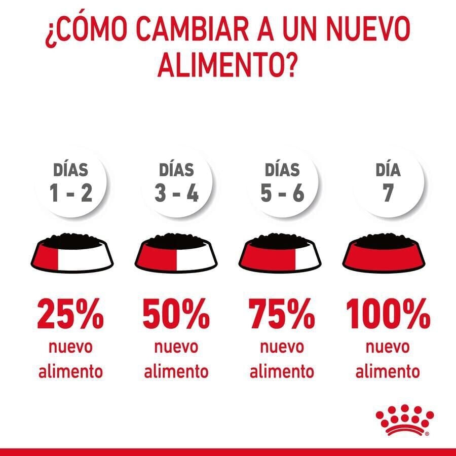 85 g Royal Canin Appetite Control Care salsa sobre para gatos, , large Imagen numero 3