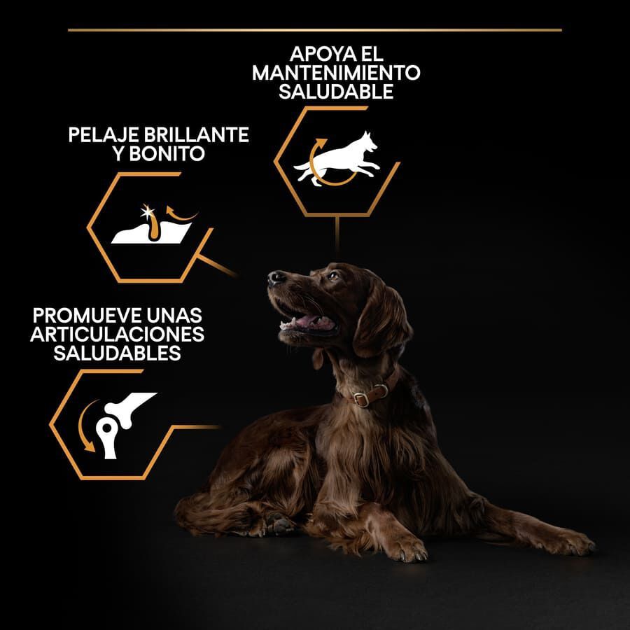 14 kg Pro Plan Large Athletic Adult Pollo pienso para perros, , large indicador imagen numero 3