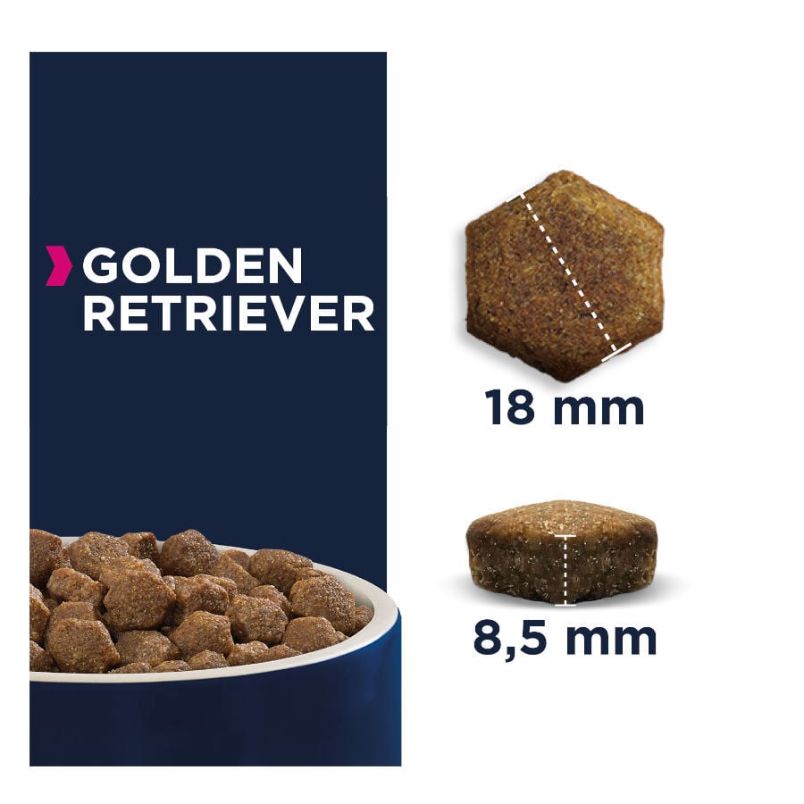 12 kg Eukanuba Adult Golden Retrievers pienso para perros, , large indicador imagen numero 2