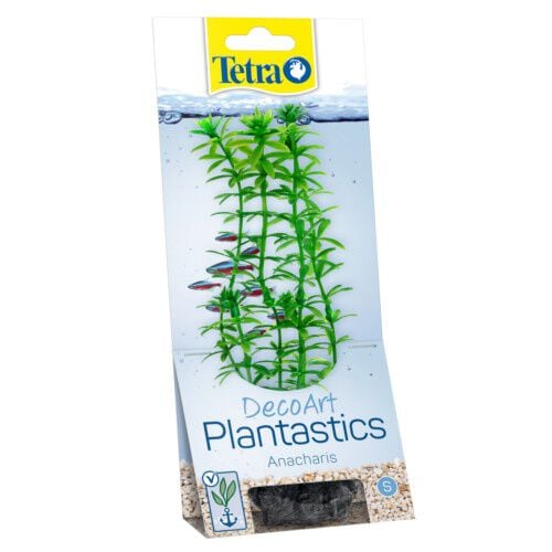 Tetra Anachari planta decorativa para acuario Imagen numero 1