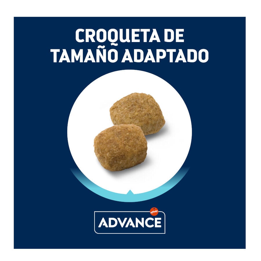 12 kg Advance Active Defense Medium Light Pollo y Arroz pienso para perros, , large indicador imagen numero 3