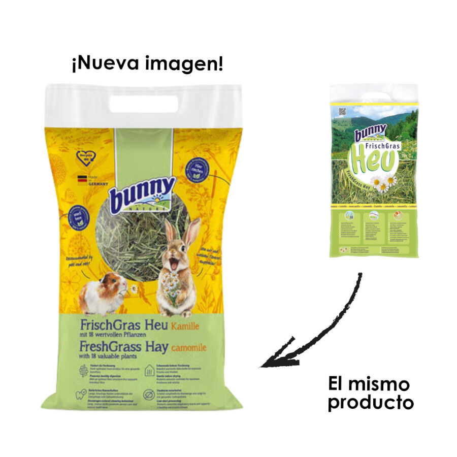 Bunny FrischGras Heno con Camomila para roedores, , large indicador imagen numero 2