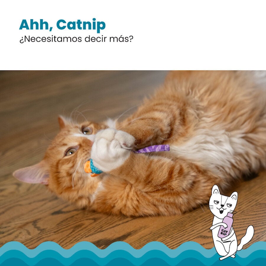 Catstages Chew Rat&oacute;n con Catnip para gatos, , large indicador imagen numero 3