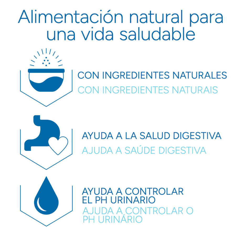 2 kg Criadores Cient&iacute;fico Adulto Pollo pienso para gatos, , large Imagen numero 6