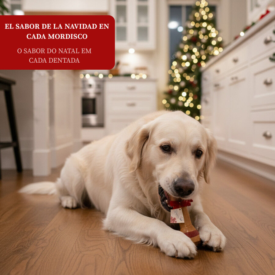 1 hueso Wonder Christmas Hueso Gigante Navide&ntilde;o para perros, , large indicador imagen numero 4
