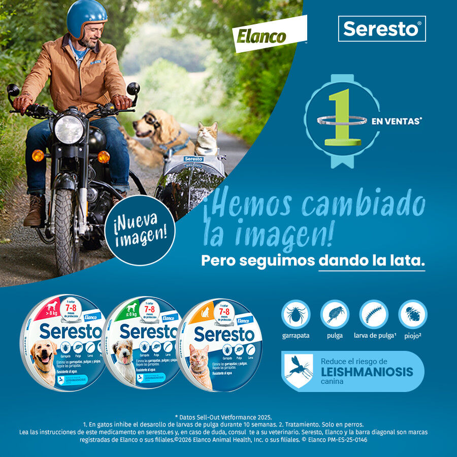 2 collares x 38 cm Seresto Collar Antiparasitario para perros - Pack, , large indicador imagen numero 2