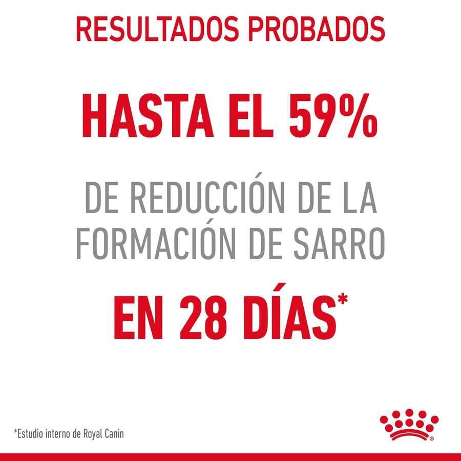 8 kg Royal Canin Adult Oral pienso para gatos, , large Imagen numero 3