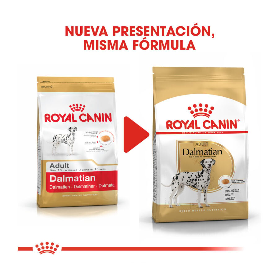 12 kg Royal Canin Adult D&aacute;lmata pienso para perros, , large Imagen numero 3