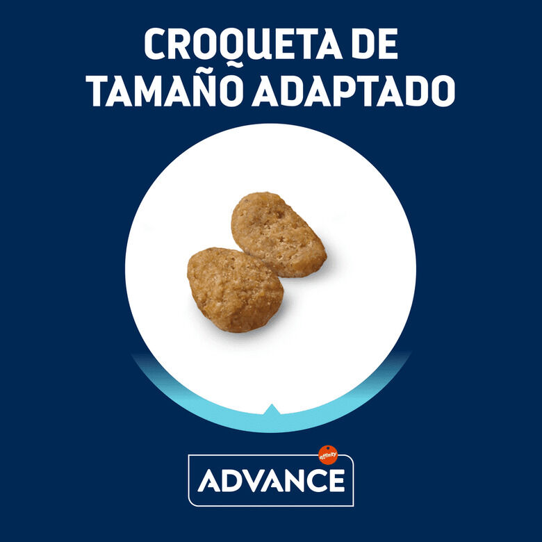 Advance Junior Sterilized pienso para gatos2 Imagen numero 3