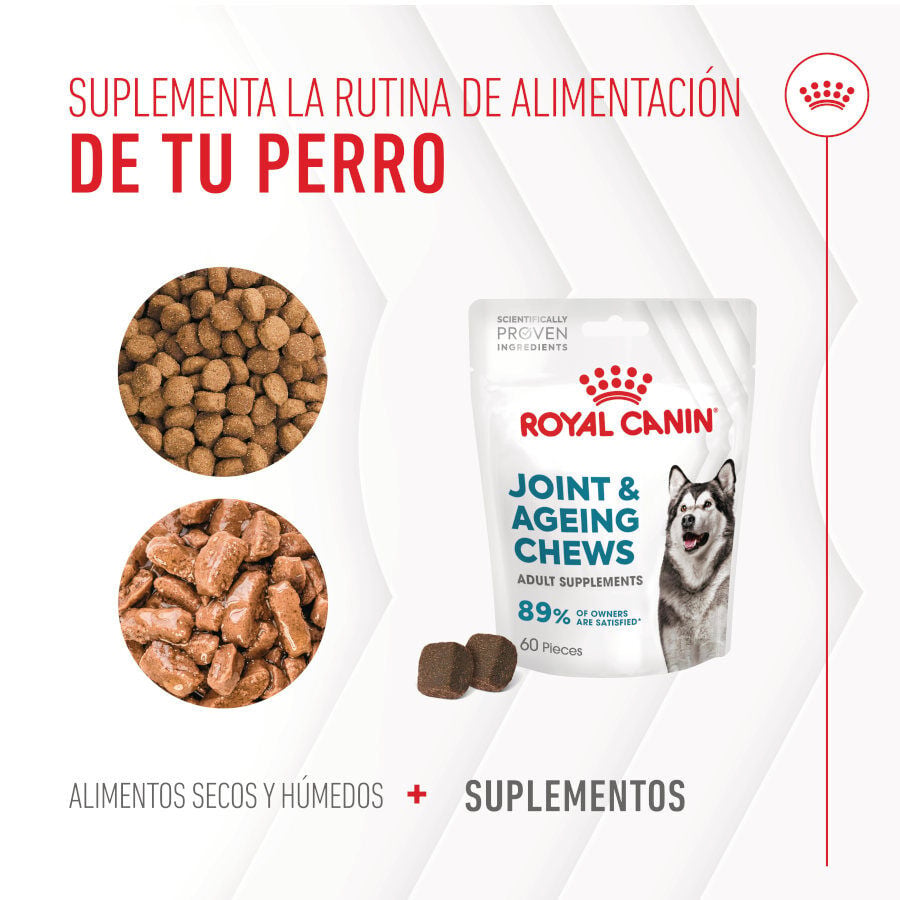 240 g Royal Canin Joint & Ageing Chews Suplemento Nutricional para perros senior, , large Imagen numero 9