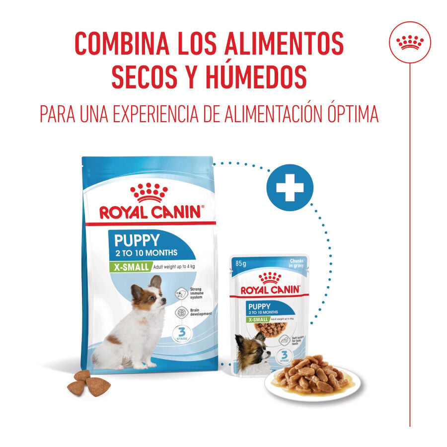 3 kg Royal Canin X-Small Puppy pienso para perros, , large Imagen numero 6