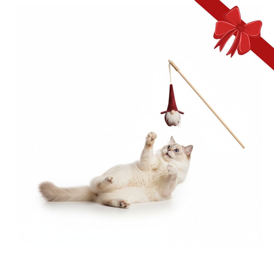 Wonder Christmas Juguete de Ca&ntilde;a Santa Navide&ntilde;o para gatos