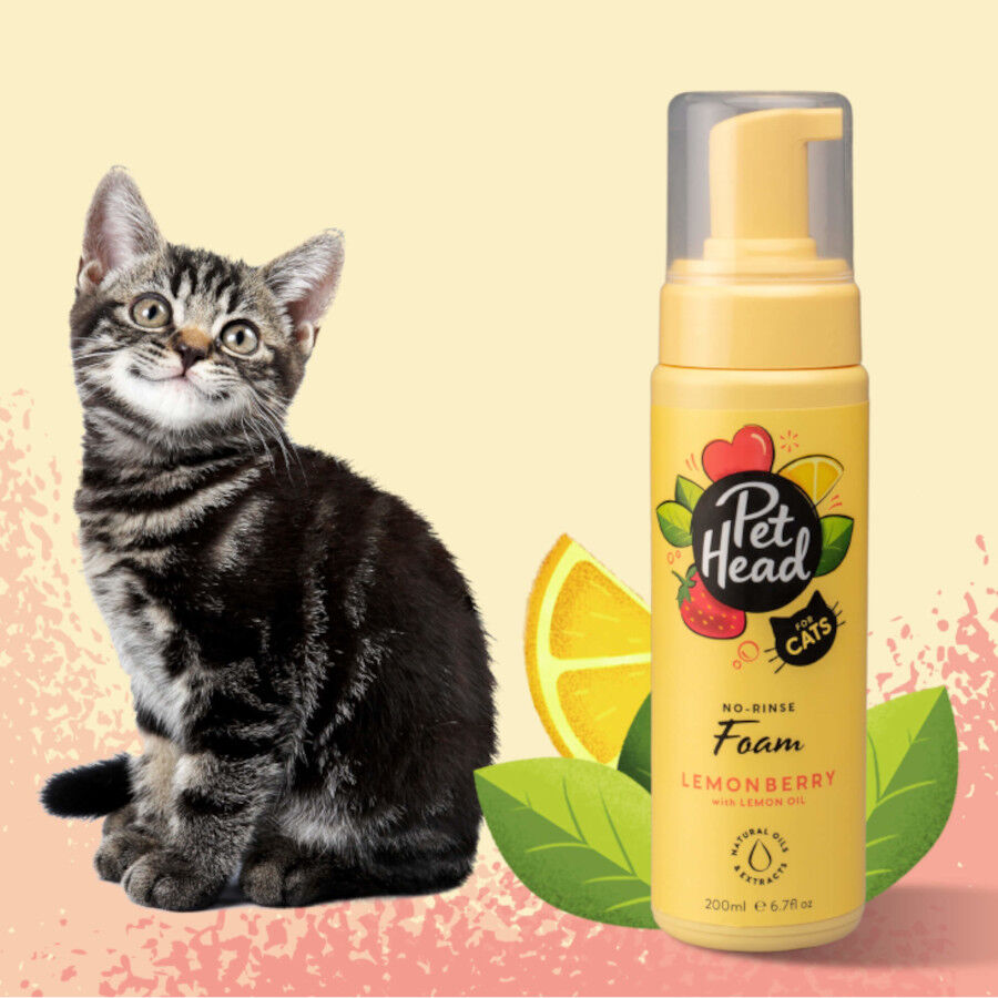 Pet Head champ&uacute; en seco de fresa/lim&oacute;n para gatos, , large Imagen numero 2