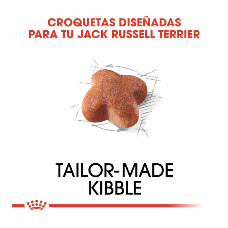 7.5 kg Royal Canin Adult Jack Russell Terrier pienso para perros, , large indicador imagen numero 5