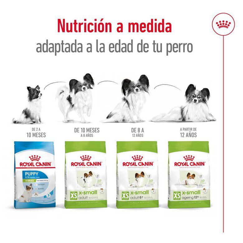 1.5 kg Royal Canin X-Small Ageing 12+ Adult pienso para perros&nbsp;senior, , large Imagen numero 8