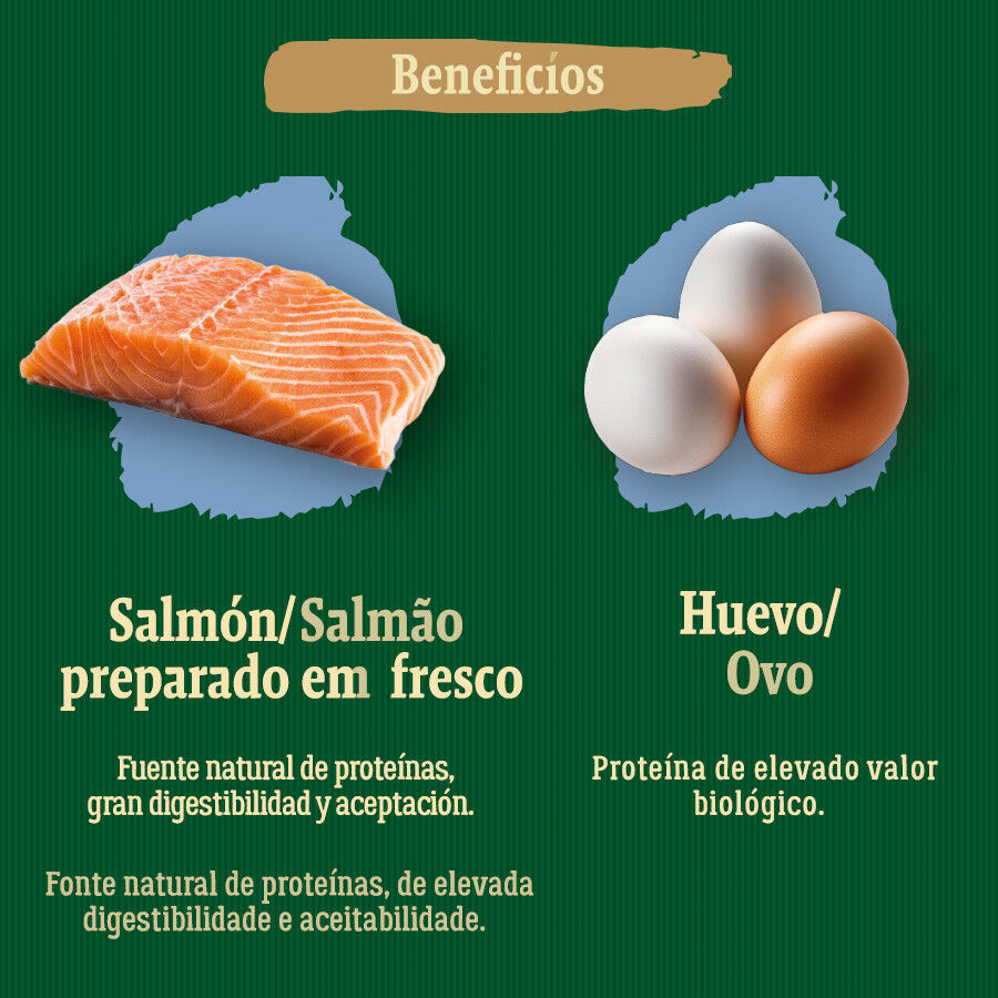 2 kg True Origins Wild Pacific Salm&oacute;n pienso para gatos senior, , large indicador imagen numero 5