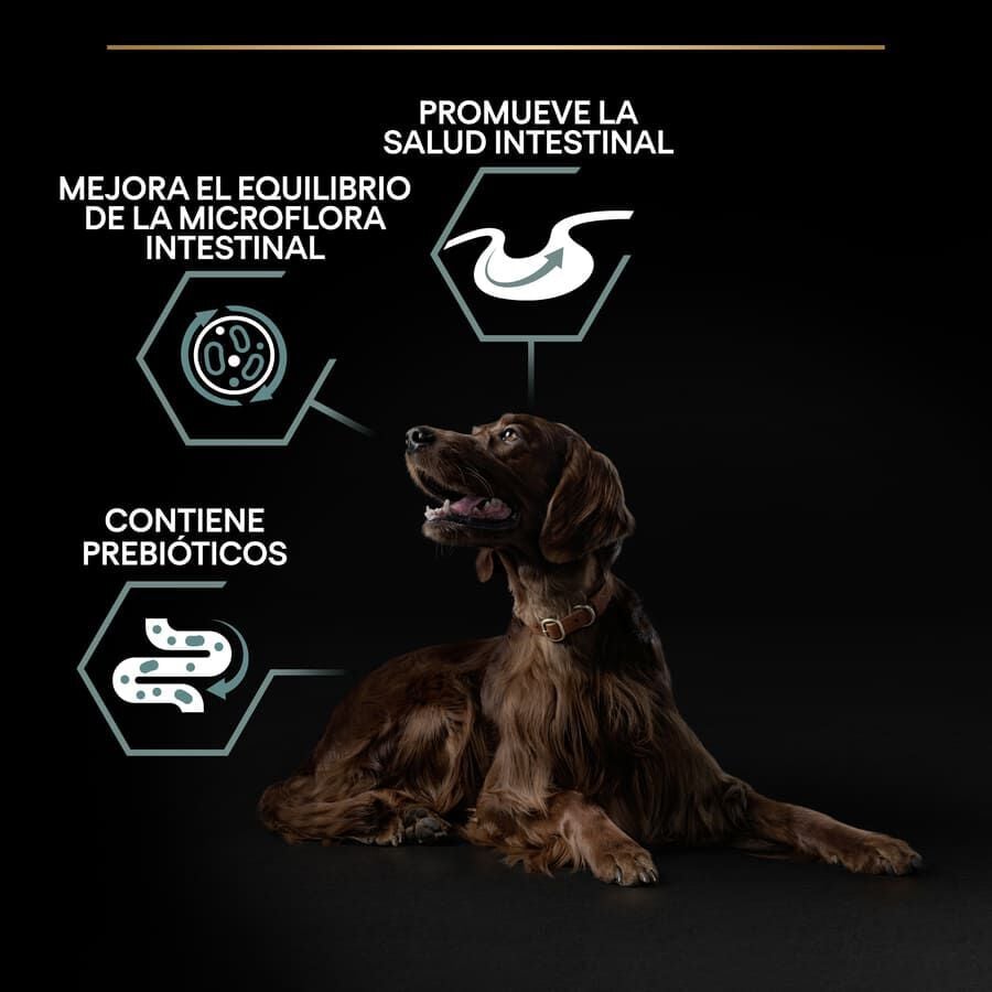 14 kg Pro Plan Adult Large Athletic Digesti&oacute;n Cordero pienso para perros, , large Imagen numero 9