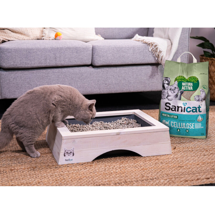 10 L Sanicat Recycled Cellulose Lecho Natural para gatos, , large Imagen numero 5