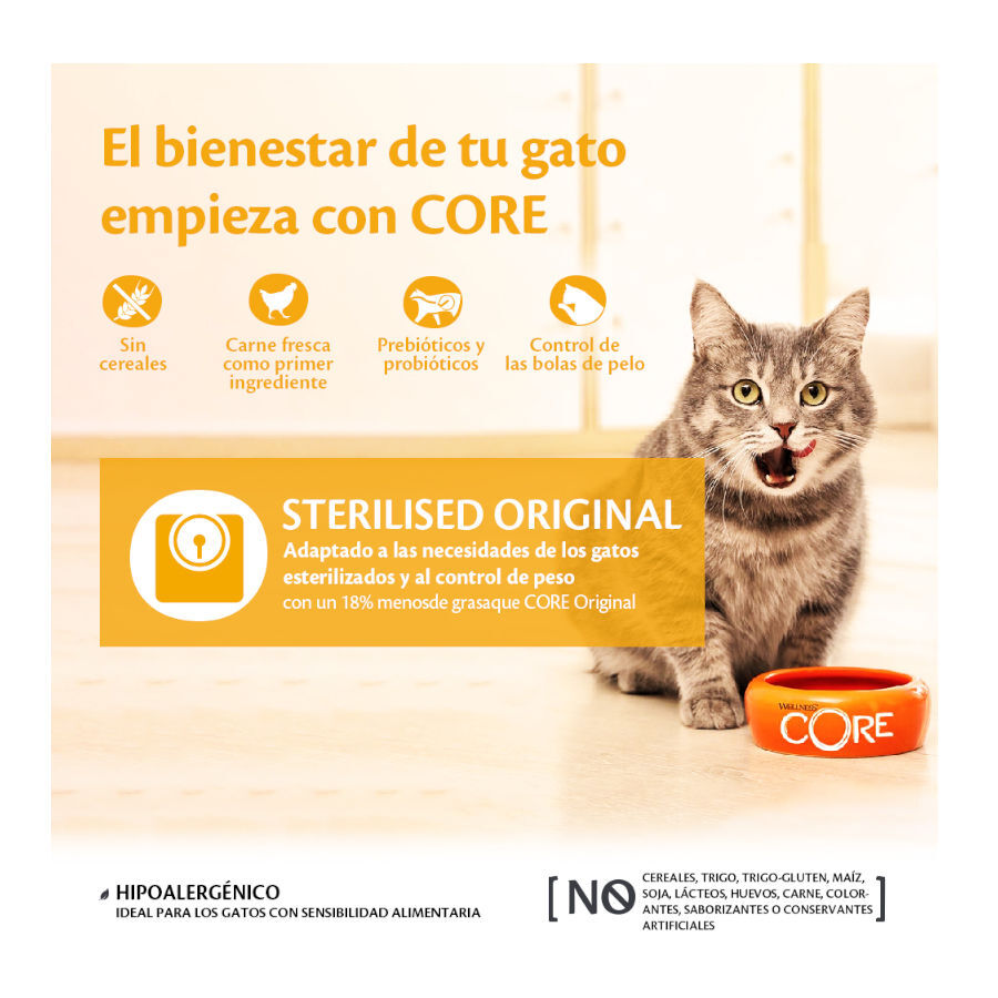 4 kg Wellness Core Adult Sterilised Pollo y Pavo pienso para gatos, , large indicador imagen numero 2
