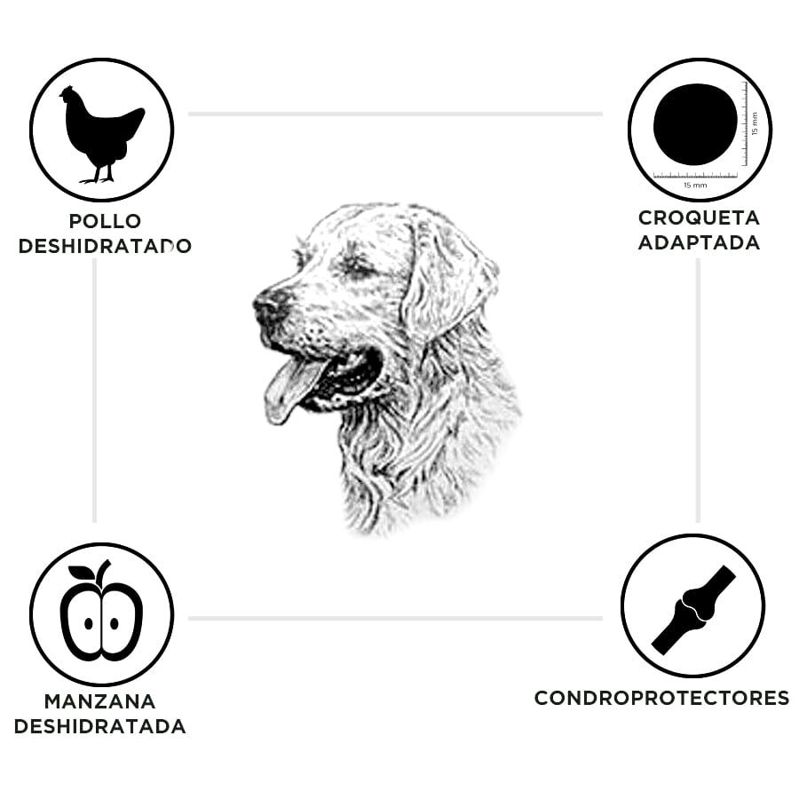 15 kg Criadores Senior Pollo y Arroz pienso para perros de razas medianas y grandes, , large indicador imagen numero 3