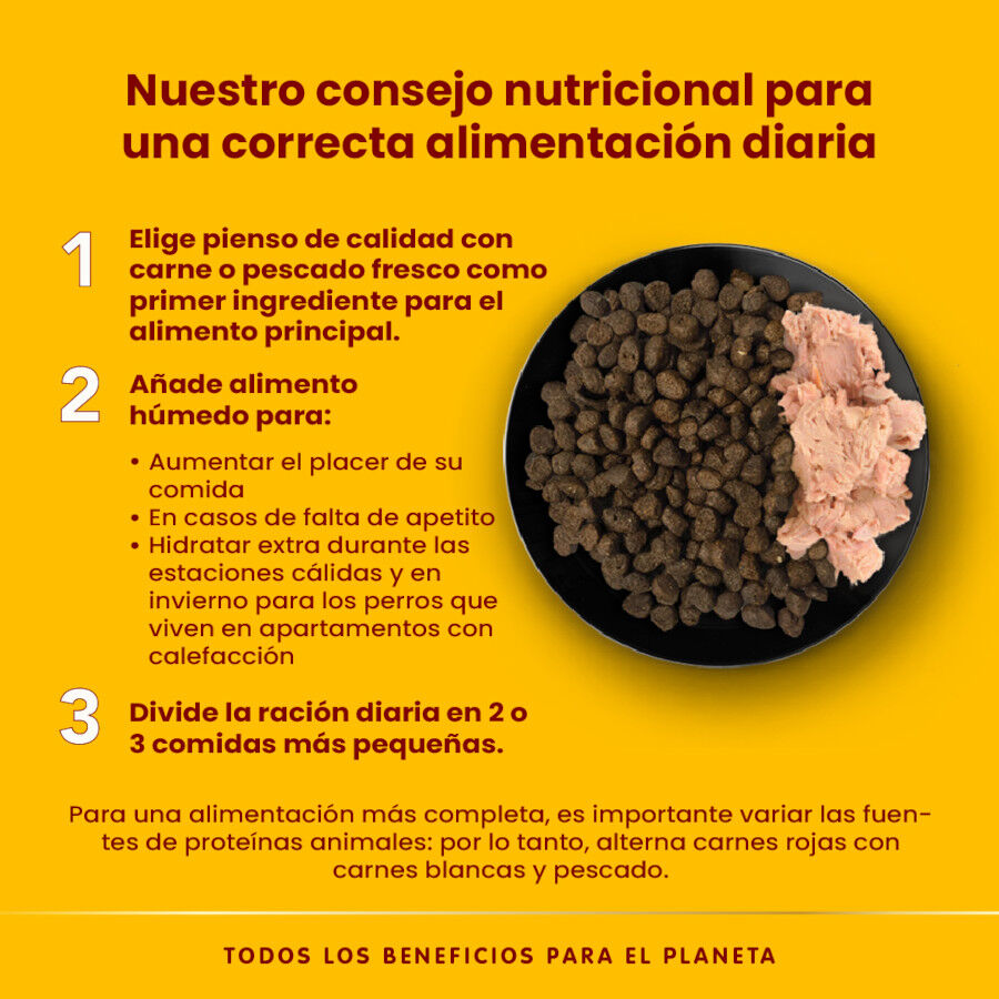 280 g Almo Nature HFC Natural Filete de Pollo lata para perros, , large Imagen numero 4