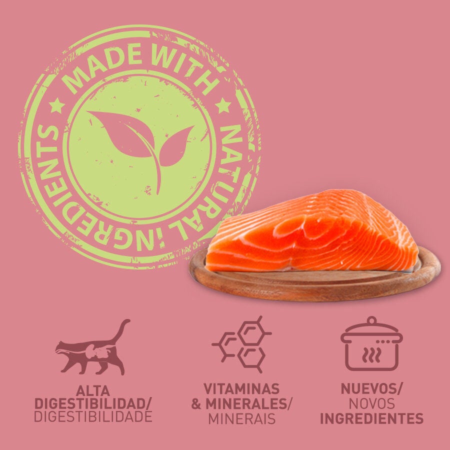 400 g Catzilla Adult Grain Free Salm&oacute;n en Pat&eacute; lata para gatos, , large Imagen numero 3