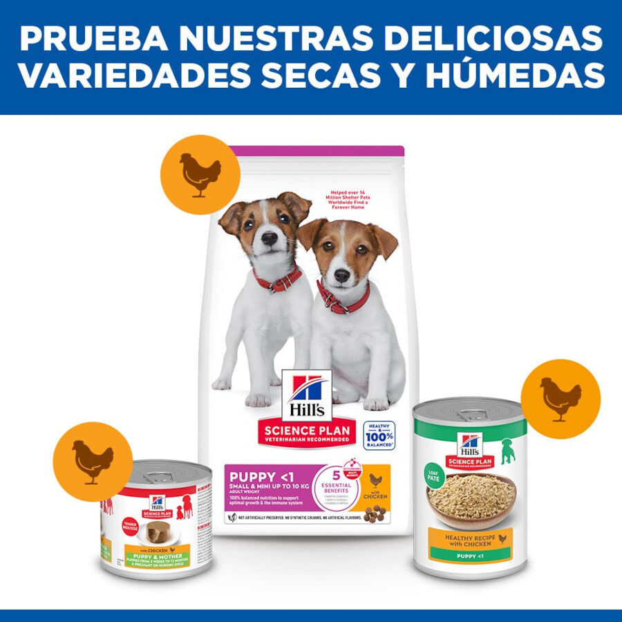6 kg Hill's Science Plan Puppy Small y Mini Pollo Pienso para cachorros, , large Imagen numero 8