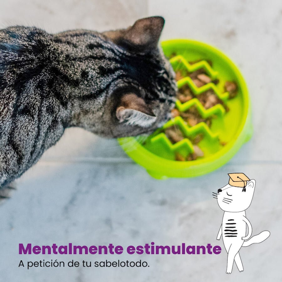 Catstages Cat Fun Comedero Lento Verde para gatos, , large indicador imagen numero 3