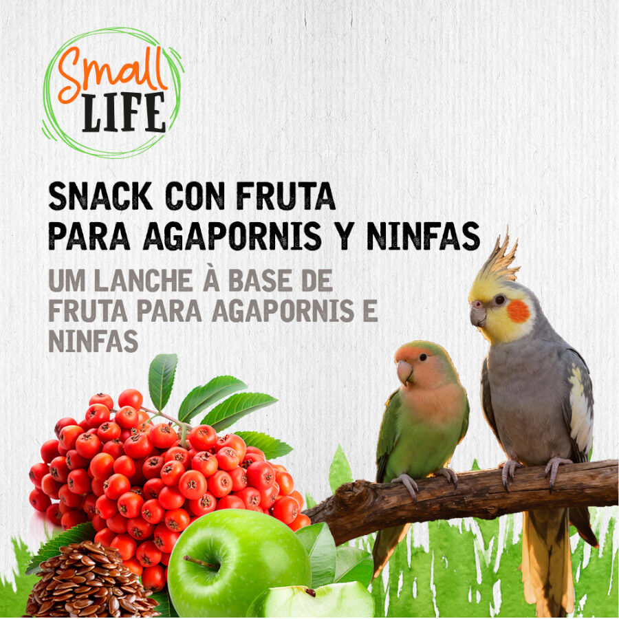 2 barritas Small Life Barritas Snack con Fruta para agapornis y ninfas, , large indicador imagen numero 4