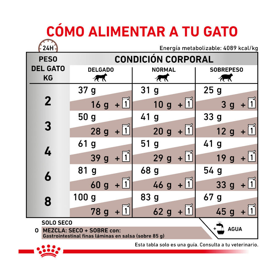 4 kg Royal Canin Veterinary Gastrointestinal pienso para gatos, , large indicador imagen numero 7