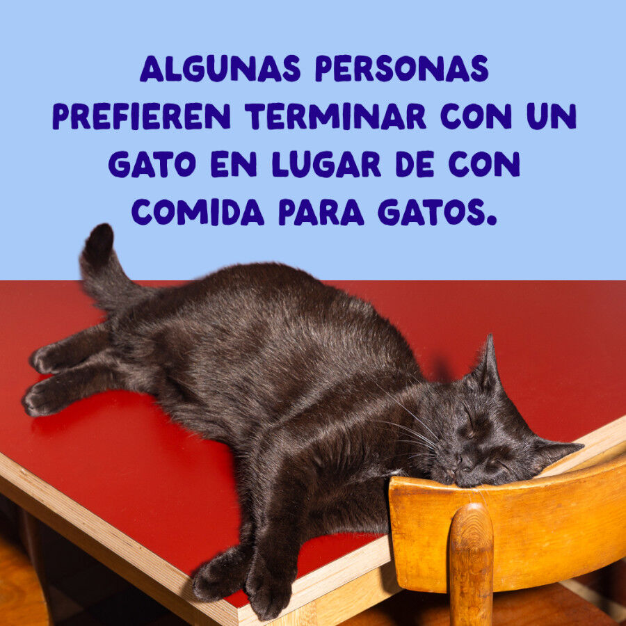 70 g Edgard & Cooper Filetes de At&uacute;n y Pollo lata para gatos, , large indicador imagen numero 9