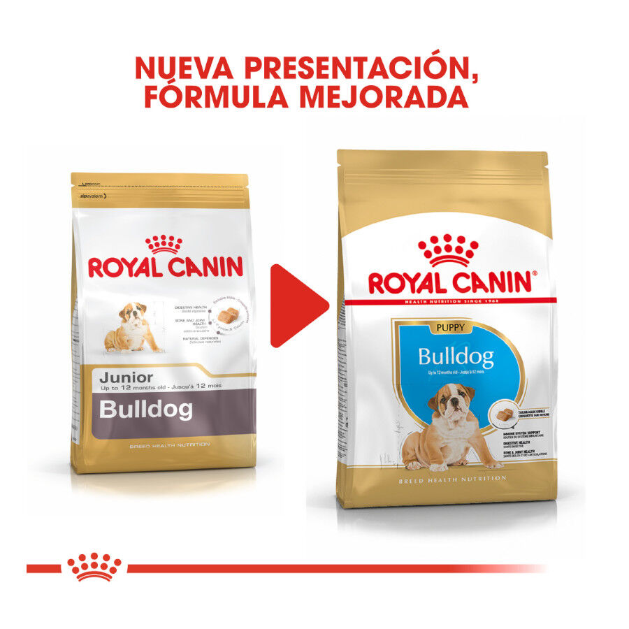 12 kg Royal Canin Puppy Bulldog pienso para perros, , large Imagen numero 3