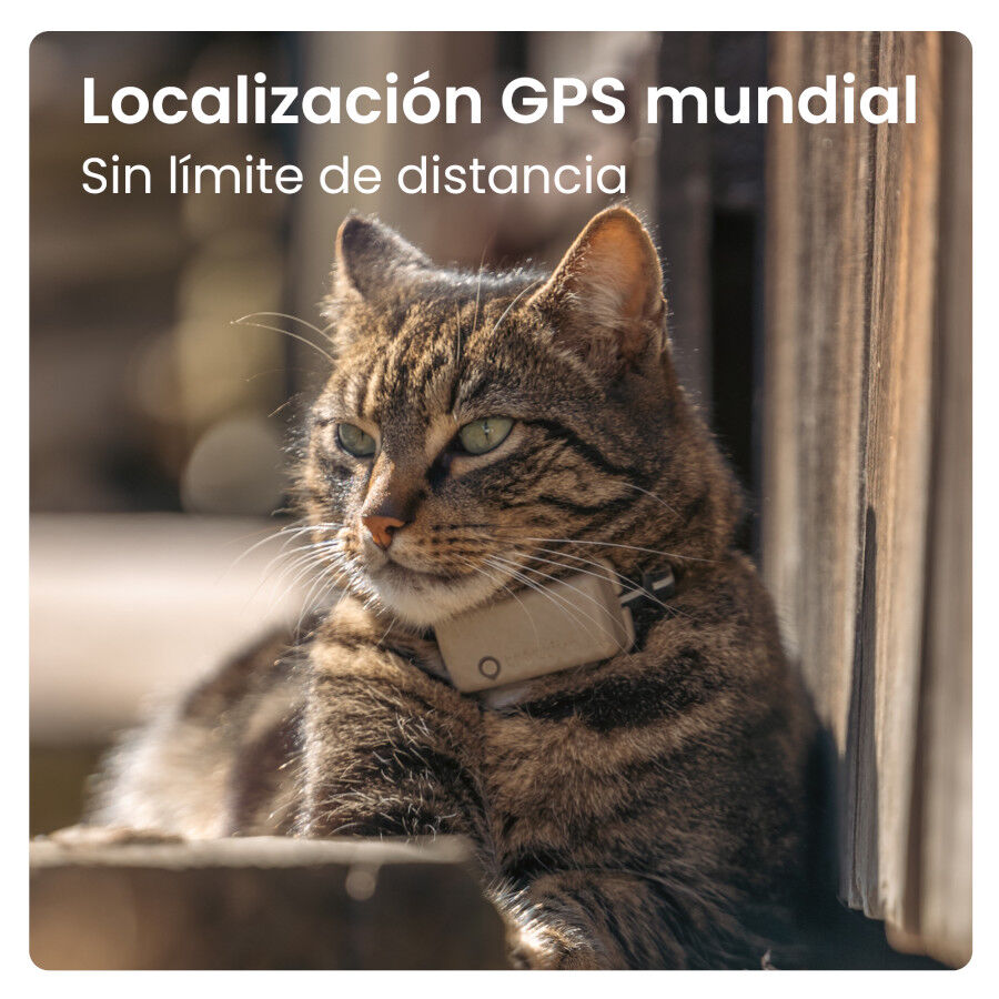 Tractive Cat Mini Localizador GPS Marr&oacute;n para gatos, , large indicador imagen numero 4