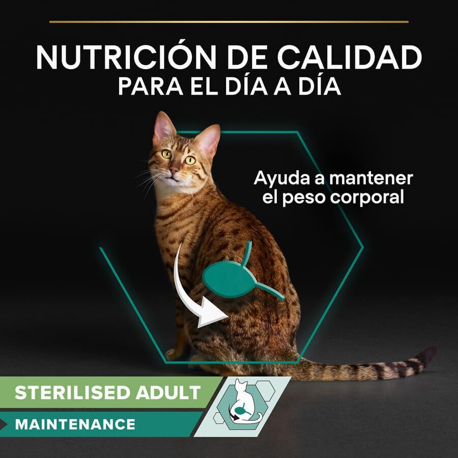 85 g Pro Plan Sterilised Maintenance sobre con Buey en salsa para gatos, , large indicador imagen numero 3