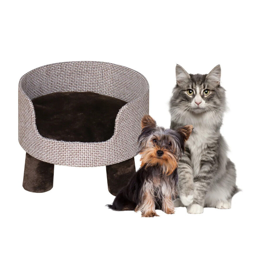 Flamingo Anas Sof&aacute; Marr&oacute;n para perros y gatos, , large indicador imagen numero 4