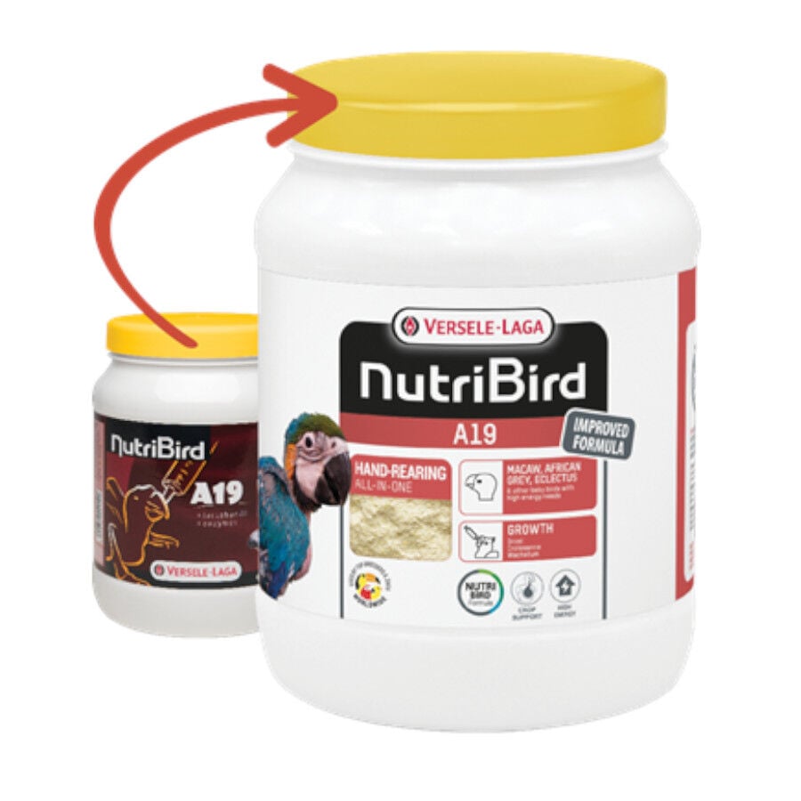 Versele-Laga NutriBird A19 Papilla para Cr&iacute;a de loros, , large Imagen numero 1
