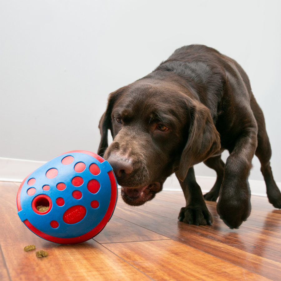 Kong Rewards Wally Juguete para perros, , large Imagen numero 2