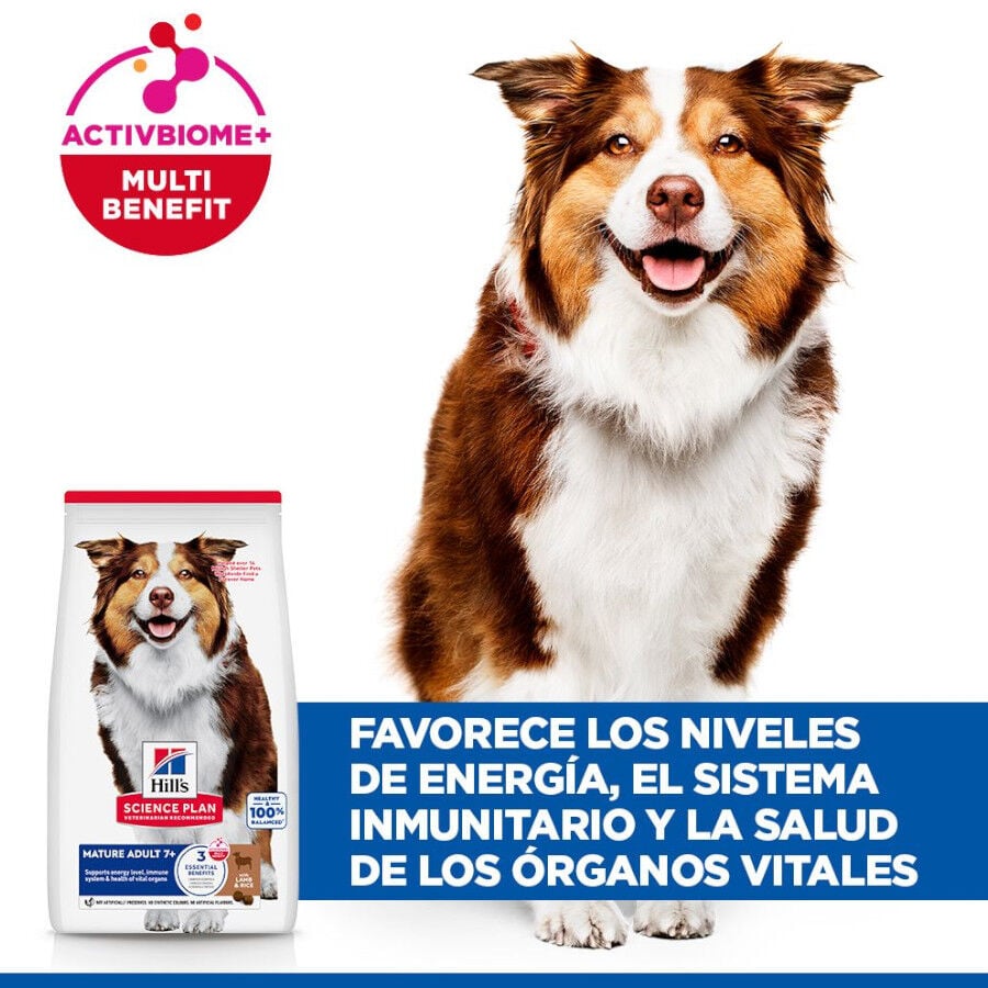14 kg Hill's Science Plan Mature Adult Medium Cordero pienso para perros, , large indicador imagen numero 4