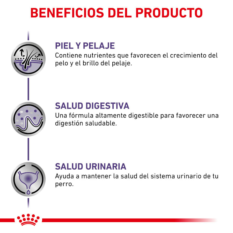 12 sobres x 100 g Royal Canin Expert Adult Sobre en Salsa para perros, , large indicador imagen numero 6