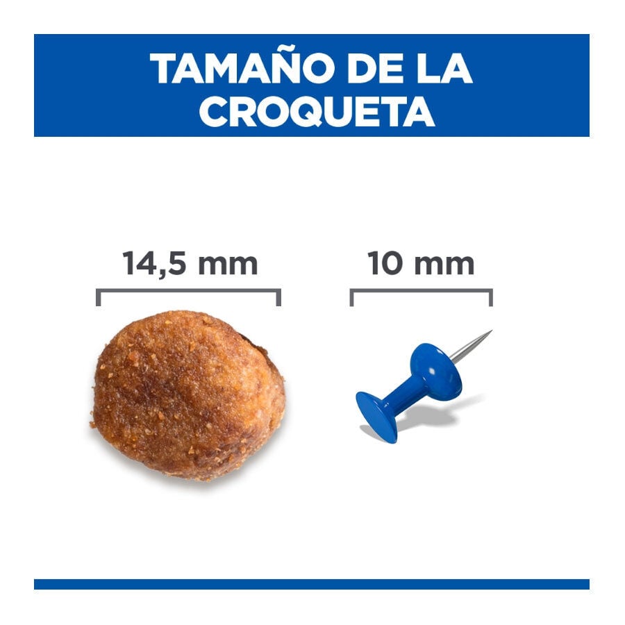 12 kg Hill's Science Plan Healthy Mobility Adult Large Pollo pienso para perros, , large indicador imagen numero 4