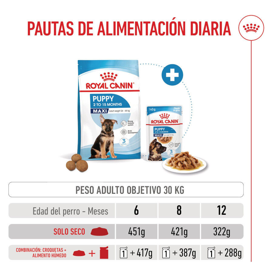 1 kg Royal Canin Puppy Maxi pienso para perros, , large indicador imagen numero 5