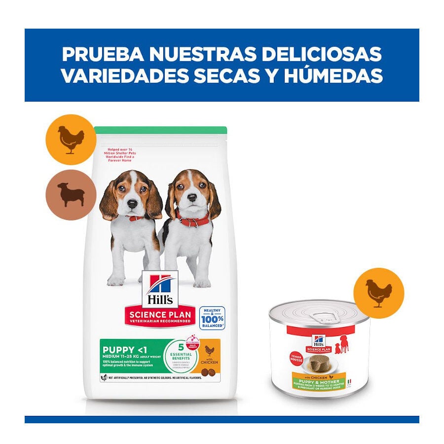 200 g Hill's Science Plan Puppy&Mother Mousse de Pollo lata para perros, , large indicador imagen numero 9