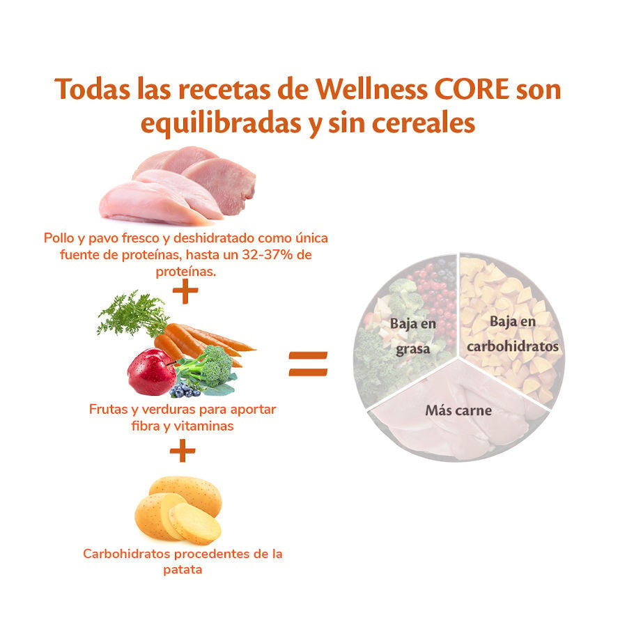 5 kg Wellness Core Adult Small Healthy Pavo pienso para perros, , large Imagen numero 4