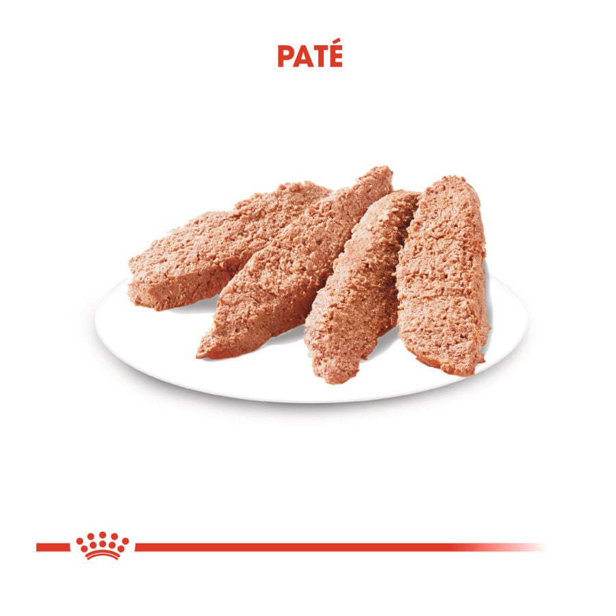 85 g Royal Canin Digestive Care Pat&eacute; sobres para perros, , large Imagen numero 3