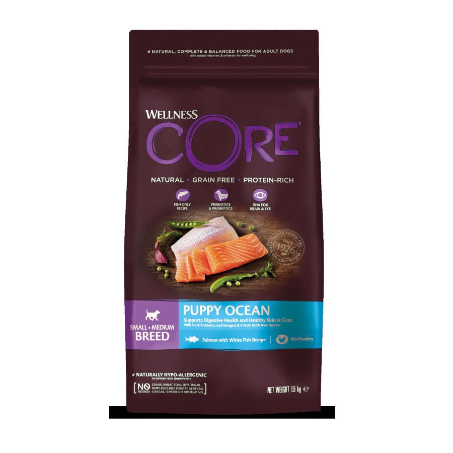 Wellness Core Small Medium Puppy Salm&oacute;n Grain Free pienso para perros, , large Imagen numero 1