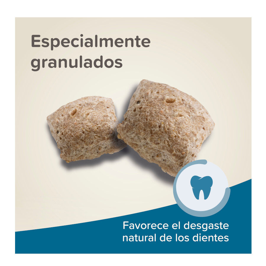 Beaphar Care+ Pienso para ratas, , large Imagen numero 6
