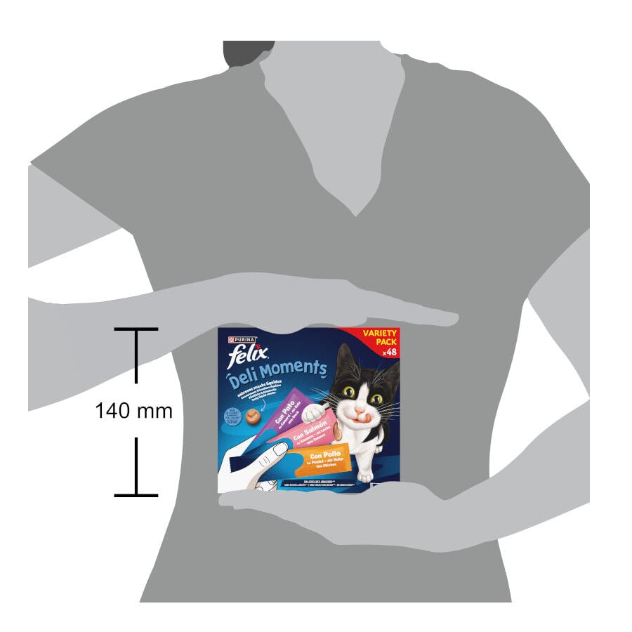 48 sobres x 10 g Felix Deli Moments Snack l&iacute;quido para gatos - Multipack, , large indicador imagen numero 7
