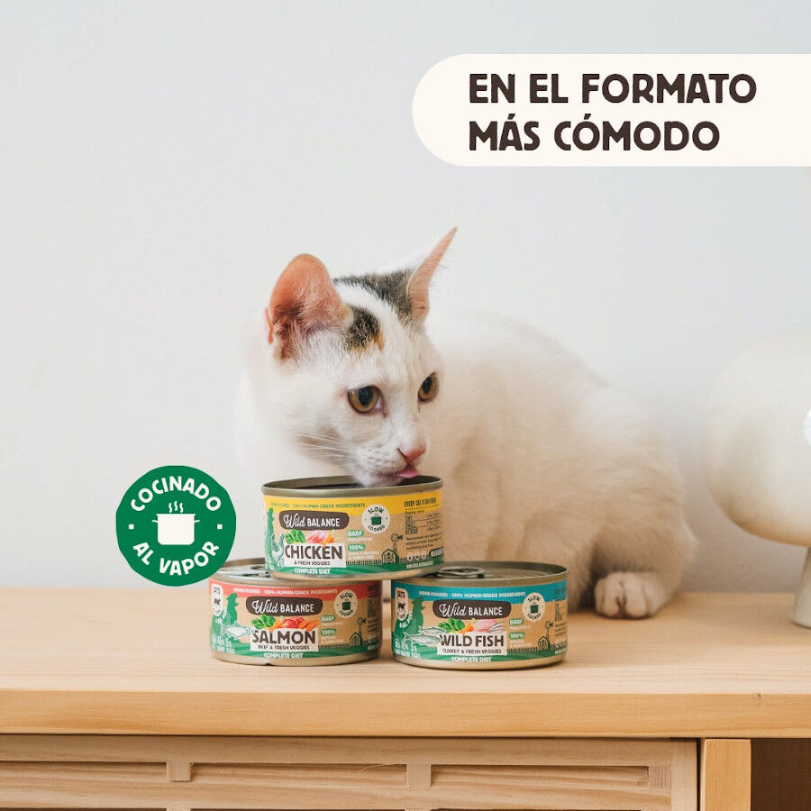 120 g Wild Balance BARF Pollo y Vegetales lata para gatos, , large indicador imagen numero 3