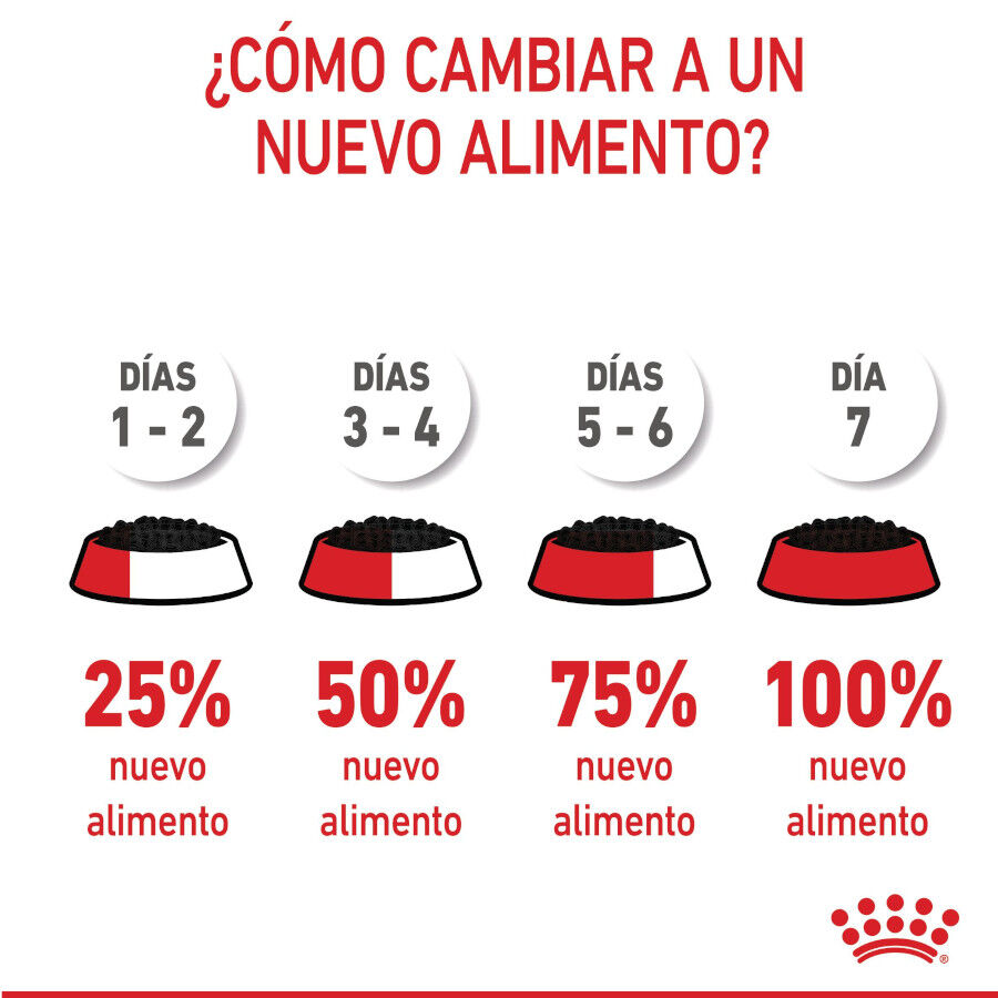 85 g Royal Canin Kitten pat&eacute; sobre para gatos, , large indicador imagen numero 10