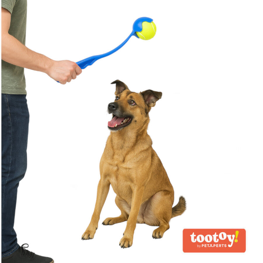 Tootoy! Tennis Ball Launcher Lanzador de Pelotas Azul para perros, , large indicador imagen numero 2